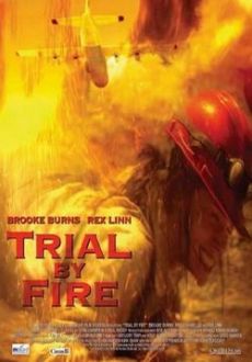"Trial By Fire" (2008) READ.NFO.PROPER.DVDSCR.XviD-DOMiNO