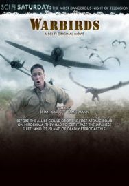 "Warbirds" (2008) WS.DSRip.XviD-aAF