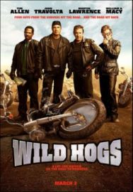 "Wild Hogs" (2007) PL.DVDRip.XviD-A4O