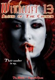 "Witchcraft 13: Blood of the Chosen" (2008) DVDRip.XviD-SiNK