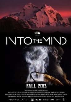 "Into the Mind" (2013) WEBRip.XviD.AC3-MiLLENiUM