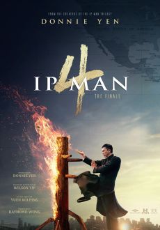 "Ip Man 4" (2019) DVDRip.x264-PFa  