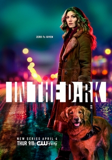 "In the Dark" [S01E03] WEB.h264-TBS
