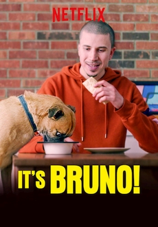 "It's Bruno" [S01] WEBRip.x264-ION10