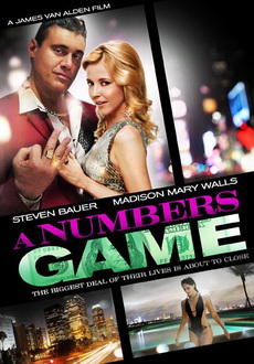 "A Numbers Game" (2010) DVDRip.XviD-aAF