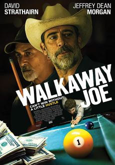 "Walkaway Joe" (2020) HDRip.XviD.AC3-EVO