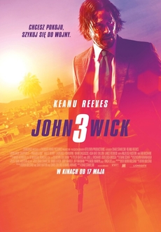 "John Wick: Chapter 3 - Parabellum" (2019) PL.BDRiP.x264-PSiG