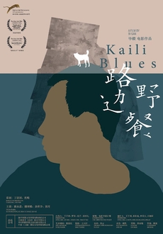 "Kaili Blues" (2015) LIMITED.BDRip.x264-BiPOLAR