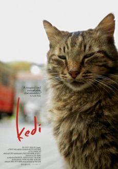 "Kedi" (2016) BDRip.x264-NODLABS