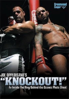 "Knockout!" (2008) DVDRip.x264-REGRET