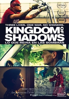 "Kingdom of Shadows" (2015) BDRip.x264-VoMiT