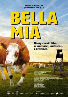 "Bella Mia" (2013) DVDRiP.x264-PSiG