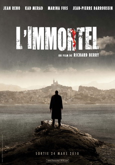 "L'Immortel" (2010) FRENCH.DVDRip.XviD-AYMO