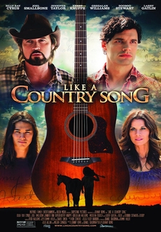 "Like a Country Song" (2014) DVDRip.x264-WaLMaRT