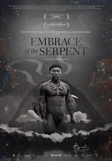 "Embrace of the Serpent" (2015) WEB-DL.AC3.x264.HORiZON-ArtSubs