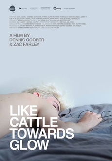 "Like Cattle Towards Glow" (2015) DVDRip.x264-RedBlade