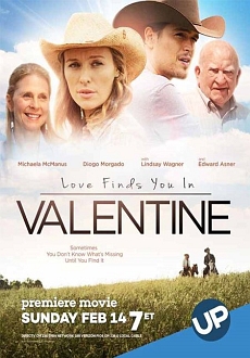 "Love Finds You in Valentine" (2016) DVDRip.x264-W4F