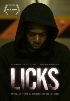 "Licks" (2013) WEB-DL.x264-RARBG