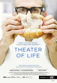 "Theater of Life" (2016) WEBRip.x264-RARBG