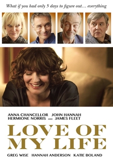 "Love of My Life" (2017) HDRip.XviD-ETRG