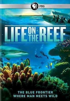 "Life on the Reef" [S01] BDRip.x264-PHASE