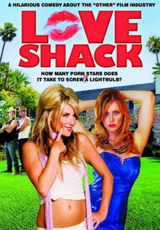 "Love Shack" (2010) DVDRip.XviD-VoMiT