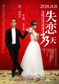 "Love Is Not Blind" (2011) CHiNESE.DVDRip.XviD-WZW