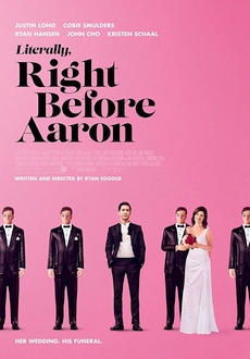 "Literally, Right Before Aaron" (2017) LiMiTED.DVDRip.x264-LPD