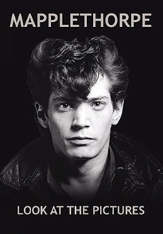 "Mapplethorpe: Look at the Pictures" (2016) SDTV.x264-2Maverick