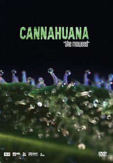 "Cannahuana - The Moweed" (2008) DVDRip.XviD-SyN