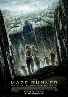 "The Maze Runner" (2014) PL.BRRiP.x264-PSiG