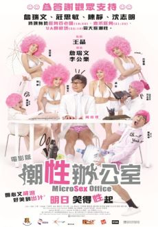 "MicroSex Office" (2011) DVDRip.XviD-CoWRY