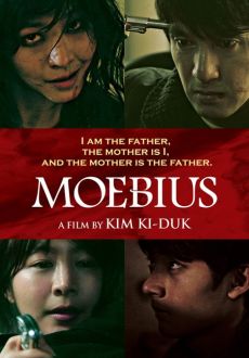 "Moebius" (2013) LIMITED.DVDRip.x264-BiPOLAR