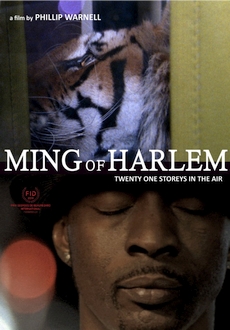 "Ming of Harlem: Twenty One Storeys in the Air" (2014) BDRip.x264-CADAVER