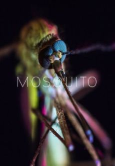 "Mosquito" (2017) HDTV.x264-W4F  