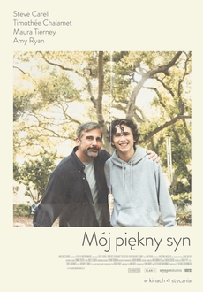 "Beautiful Boy" (2018) PL.BDRiP.x264-PSiG