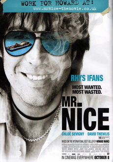 "Mr.Nice" (2010) PL.DVDRiP.XViD-PSiG