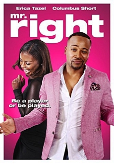 "Mr. Right" (2015) HDRip.XviD.AC3-EVO