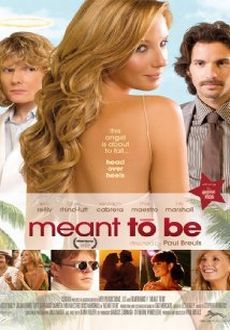 "Meant to Be" (2011) R5.XviD.AC3-XtremeEncode