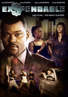 "Ex$pendable" (2010) DVDRip.AC3.XviD-LKRG