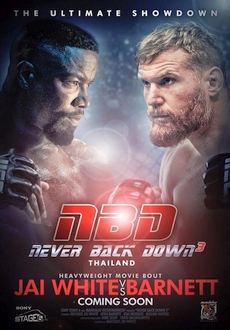 "Never Back Down: No Surrender" (2016) DVDRip.x264-BiPOLAR