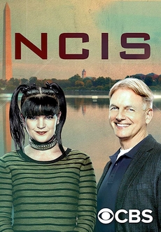 "NCIS" [S15E11] HDTV.x264-LOL
