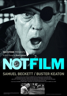 "Notfilm" (2015) DVDRip.x264-RedBlade