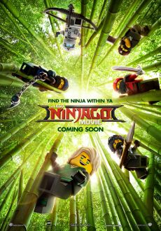 "The LEGO NINJAGO Movie" (2017) HC.HDRip.XviD.AC3-EVO