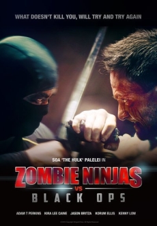 "Zombie Ninjas vs Black Ops" (2015) HDRip.XviD.AC3-EVO