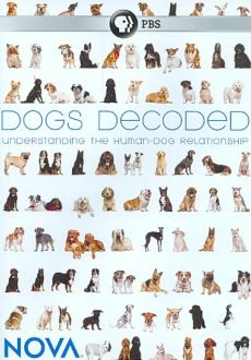 "Nova: Dogs Decoded" (2010) DVDRip.XviD-EXViD