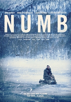 "Numb" (2015) DVDRip.x264-RedBlade