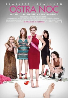 "Rough Night" (2017) PL.BDRiP.x264-PSiG