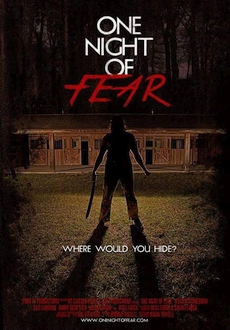 "One Night of Fear" (2016) WEBRip.XviD.MP3-Bronks