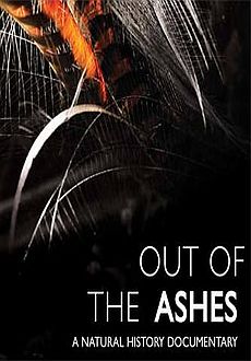 "Out of the Ashes" (2010) READ.NFO.DVDRip.XviD-aAF